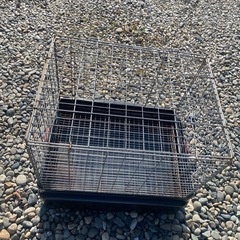 小動物ゲージの画像