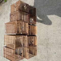 カゴの画像