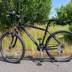 ルイガノ　自転車