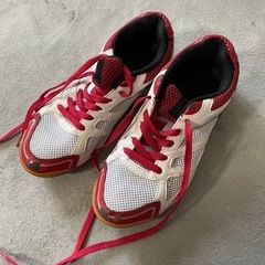 中古　IGNIO 25.0cm バレーボールシューズ ホワイト/レッド