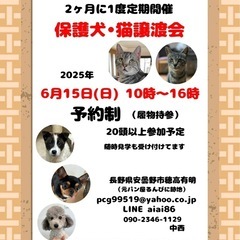 保護犬、保護猫　譲渡会