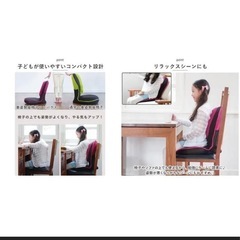 ⭐️最終価格⭐️ドリーム プロイデア 背筋がGUUUN 美姿勢座椅子コンパクト  の画像