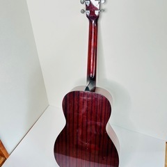 RGC-280　アコースティックギターの画像