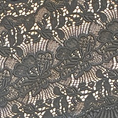 (8月末まで)着物用ショール　ベロアの画像