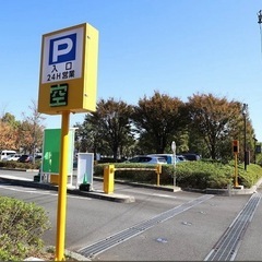 シーソー型有酸素運動　アルタレーナ　ステッパー の画像