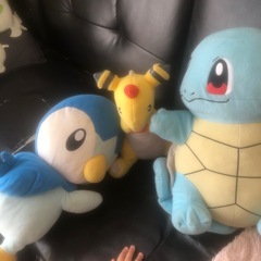 ポケモン　ぬいぐるみ
