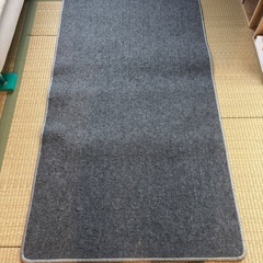 TEKNOS HC-IR100 ホットカーペット（1畳用、90×...