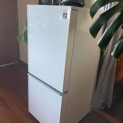 SHARP 冷蔵庫