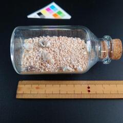 星砂(幸せの砂ボトル) 星の砂 star sand 貝殻 サンゴ...