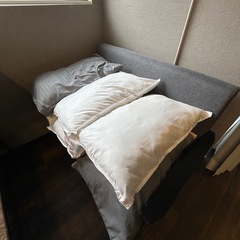 枕53個 ※全て今年購入品