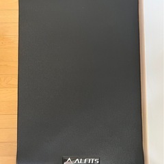 【自宅玄関引取希望】アルインコ エアロバイク AFBX4721 の画像
