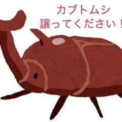 カブトムシ（成虫・幼虫）譲ってください。