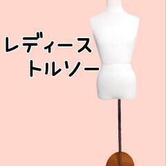 レディーストルソー