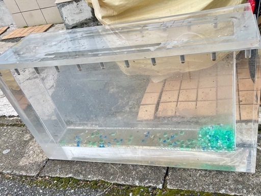 大きめアクリル水槽