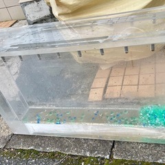 大きめアクリル水槽