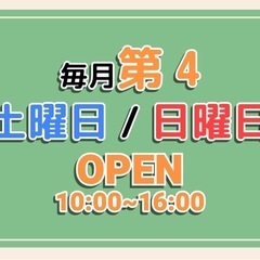 【即売会にて販売】レイジーボーイ　1人掛けソファの画像