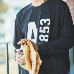 AIGLE エーグル ヘビーウェイト オーバーサイズ  ビッグロゴロンT 「EC限定」　ブラック　Lサイズ　新品の画像
