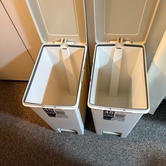 ゴミ箱 2個セット 45L 蓋付き ペダル式 複数出品の画像