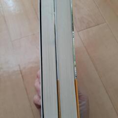 小説？２冊の画像