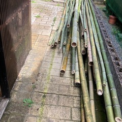 竹
