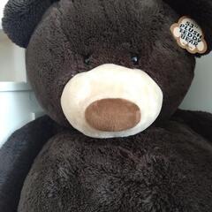 クマのぬいぐるみ　コストコくま🐻の画像