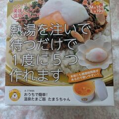 温泉玉子が出来る！の画像