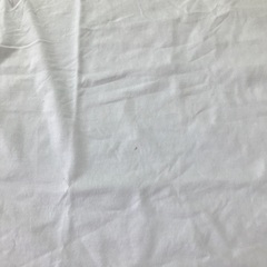 ZARA Tシャツの画像