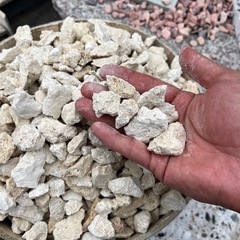 【琉球石灰岩　砂利 20kg入り】送料込み　＊御影石・タイル・大理石・砂利・石・石材・庭石・ロックガーデンなど＊の画像