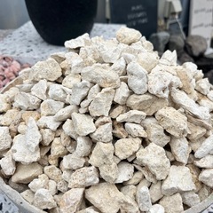 【琉球石灰岩　砂利 20kg入り】送料込み　＊御影石・タイル・大理石・砂利・石・石材・庭石・ロックガーデンなど＊の画像