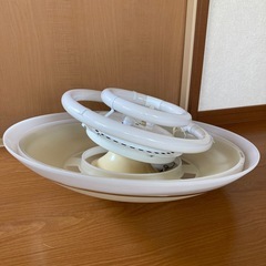 天井照明　ライト　電気　