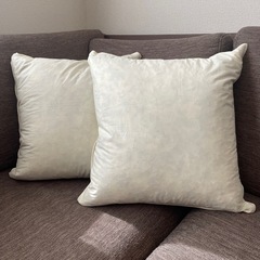 【フェザー100%】クッション 2個セット 中材 45×45cm