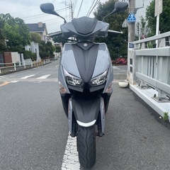 【美車】ヤマハ　シグナスグリファス　低走行の画像