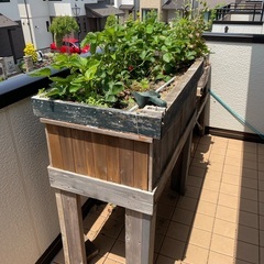 プランターと土差し上げます　　(既に引き取りが決まっています。)