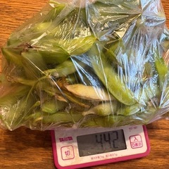 きぬさや