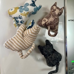 ネコちゃんの保護活動 頑張るニャンの画像