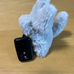 ネコちゃんの保護活動 頑張るニャンの画像
