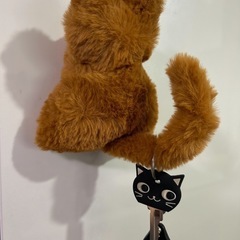 ネコちゃんの保護活動 頑張るニャンの画像