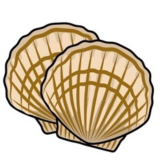 室蘭産 の貝の殻探してます！