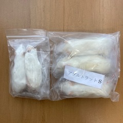 冷凍アダルトラットSと冷凍アダルトマウス