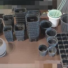 ★現在お話し中★鉢色々セット