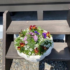 寄せ植え