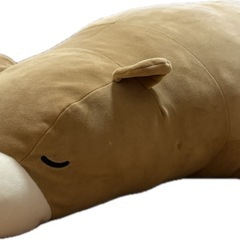くま BIG100cm ぬいぐるみ