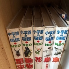 学研の図鑑　5冊セット　DVD付きの画像