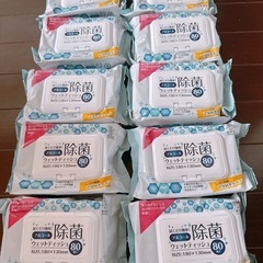 除菌シート　ウェットティッシュ　10個
