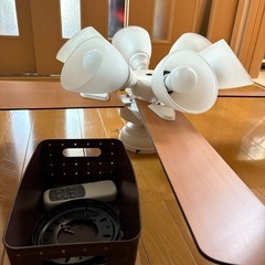 シーリングファン　ライト　お近くでしたら配送可の画像