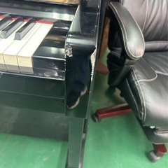 Rubinsteinの画像