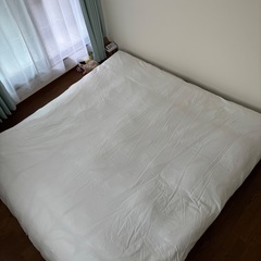 The Seasons Collection® コットン 600...