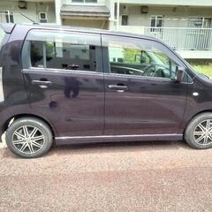 スズキステイングレーの画像