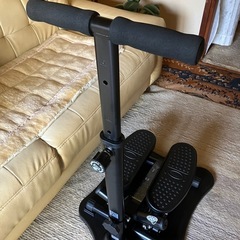 テレビCMでお馴染みの【ナイスデイ】運動器具