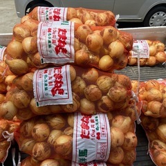 血液サラサラ玉ねぎ10キロ単位で